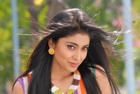 Shriya Beautiful Photos